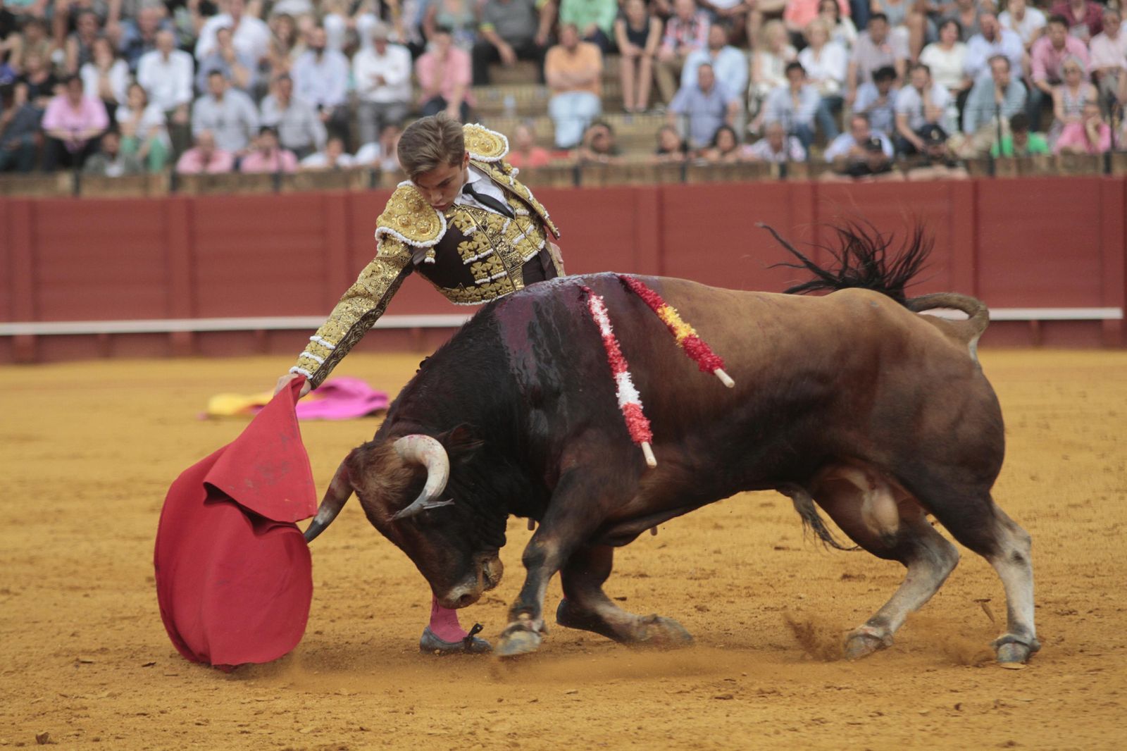 Las imágenes de la decimosexta de abono de La Maestranza