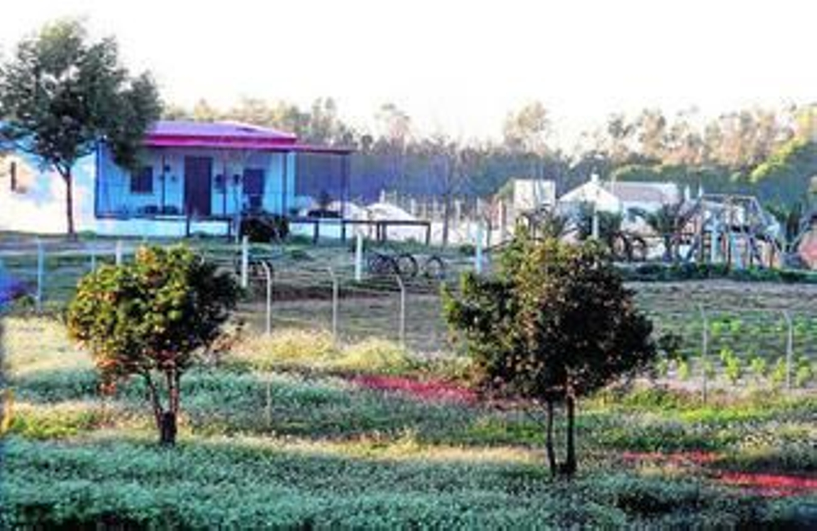 La zona de El Porretal fue una de las más afectadas por la construcción de naves de apero.