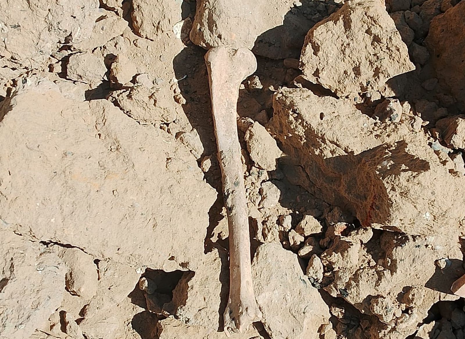 Restos arqueológicos aparecidos en el cabezo de San Pedro de Huelva.