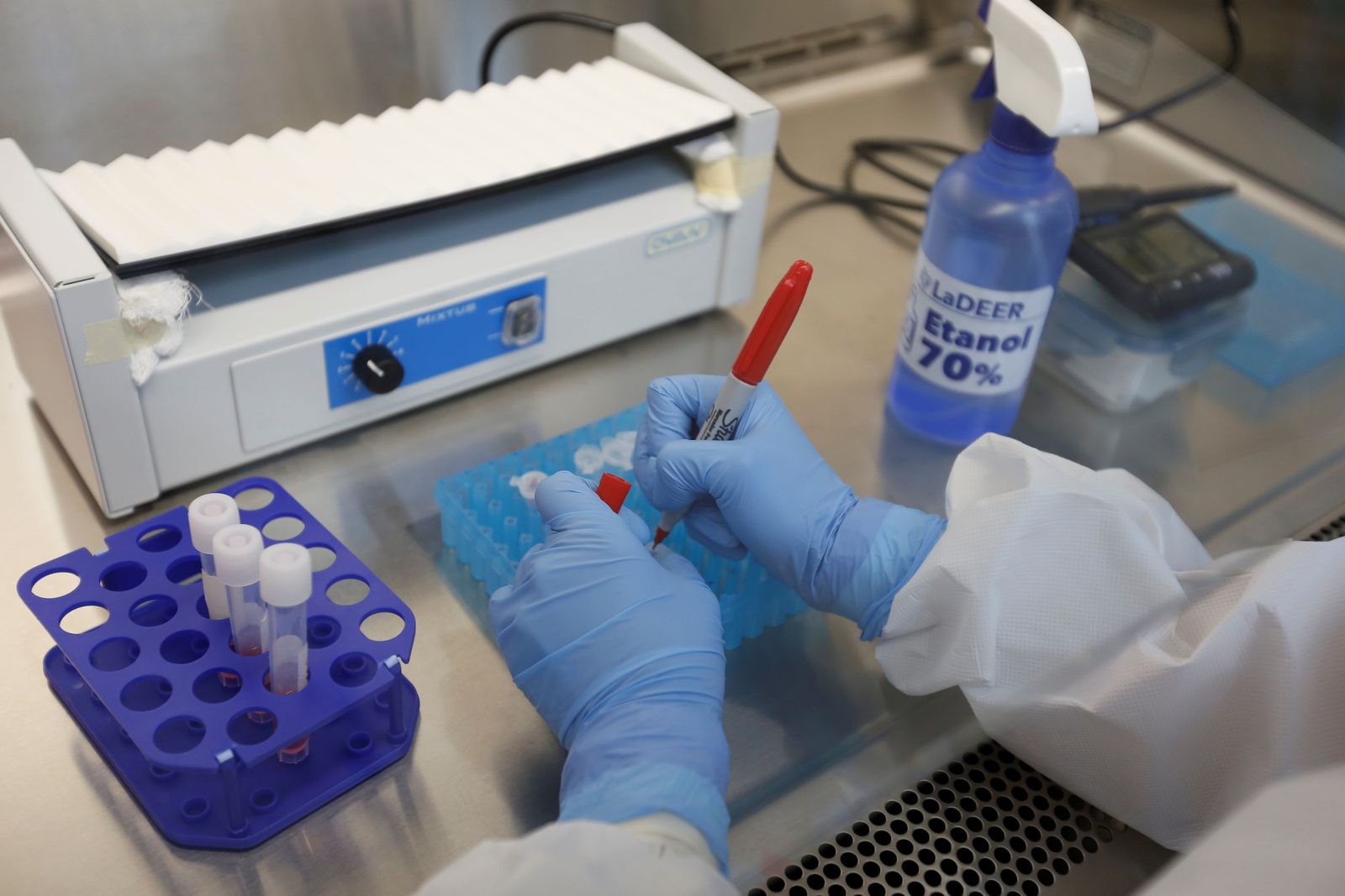 Científicos analizan muestras del coronavirus