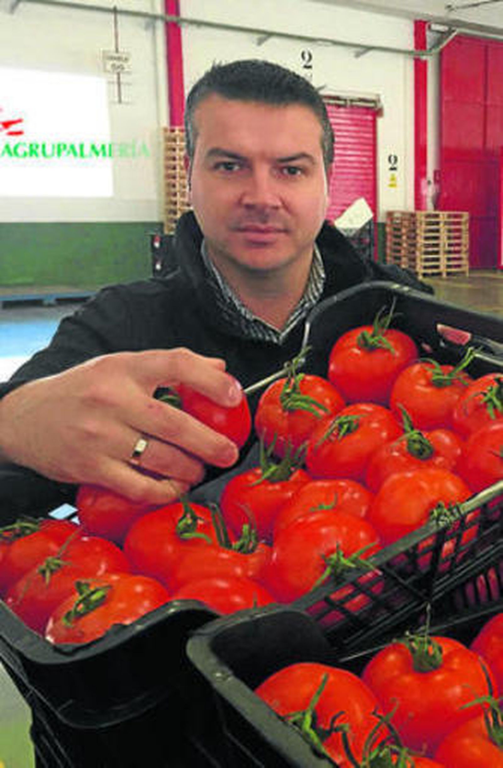Francisco Becerra, jefe de Ventas de Agrupalmería.