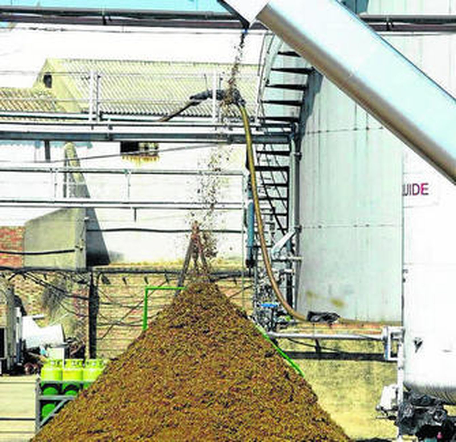 Residuos de zalema, en la Cooperativa Vinícola del Condado.