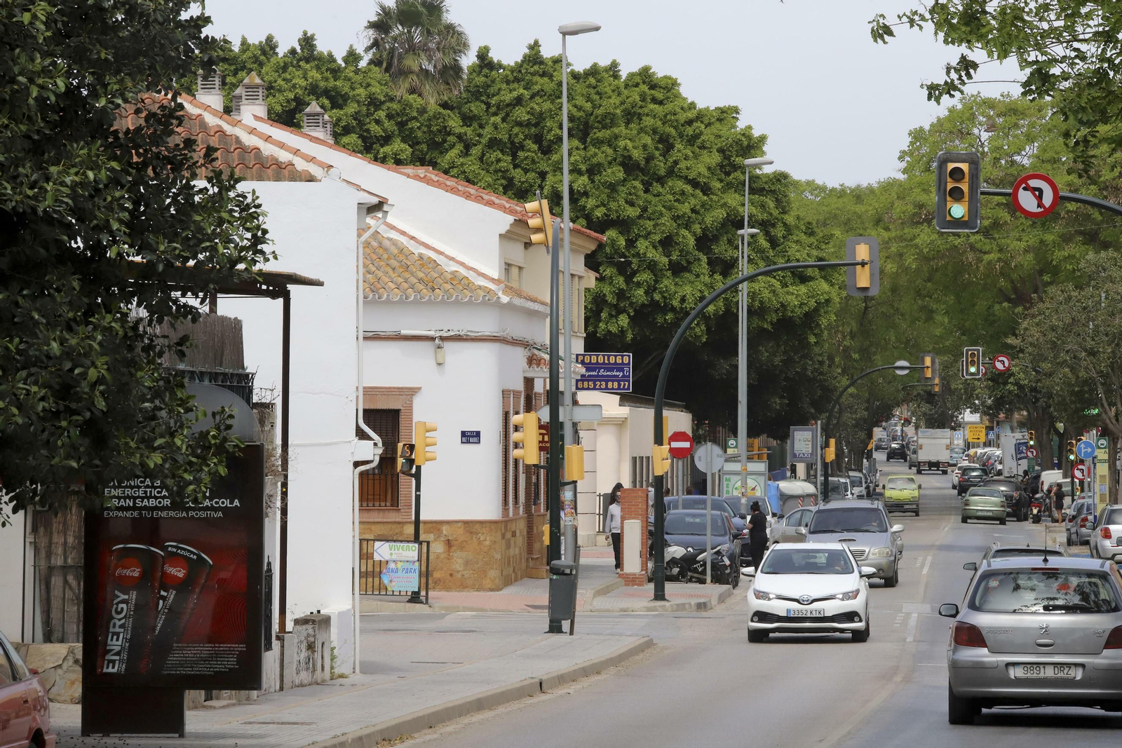 Campanillas en fotos