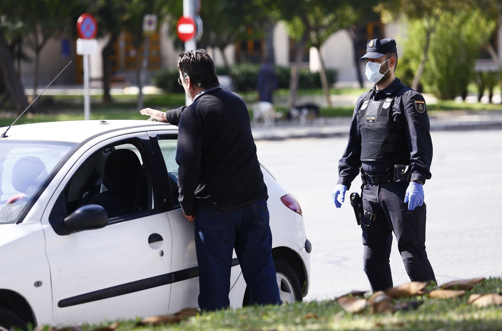 Coronavirus: Controles en las carreteras de Málaga, en fotos