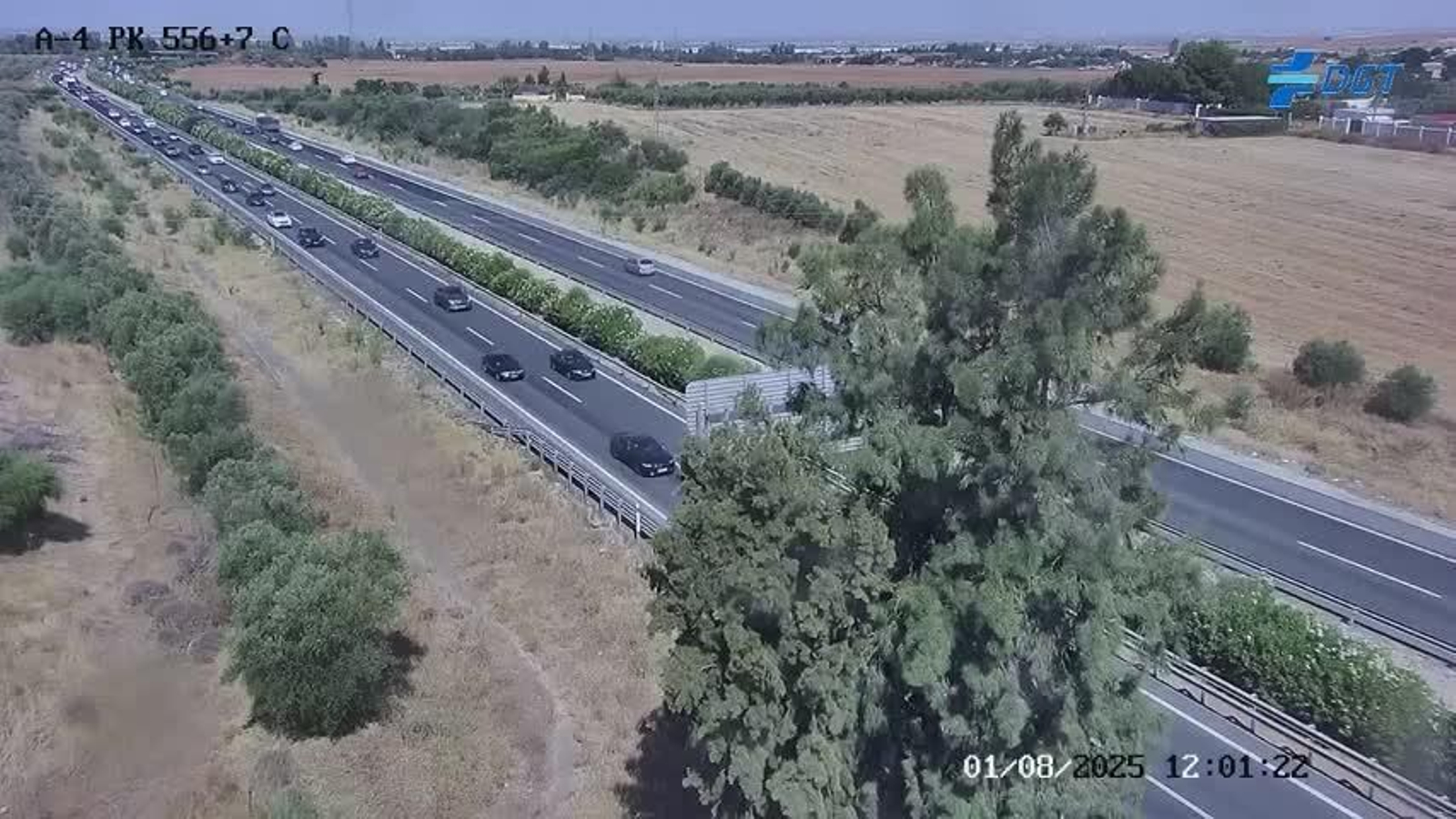 Imagen de las retenciones enel kilómetro 556 de la AP-4 entre Sevilla y Jerez