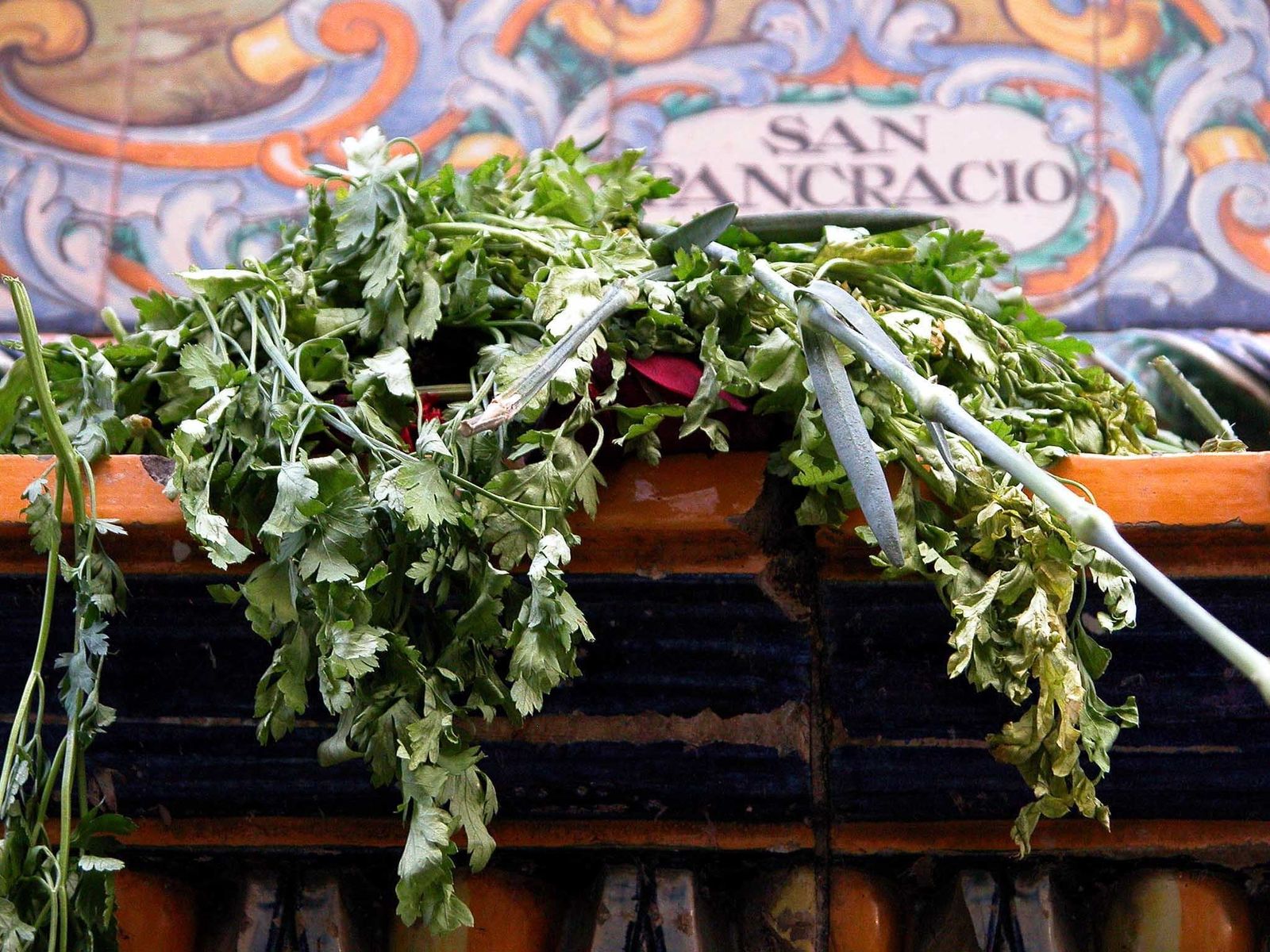 La crisis va a poner fin a la costumbre de "regalarle" perejil a San Pancracio para que el santo, a cambio, surtiera de trabajo a sus fieles.