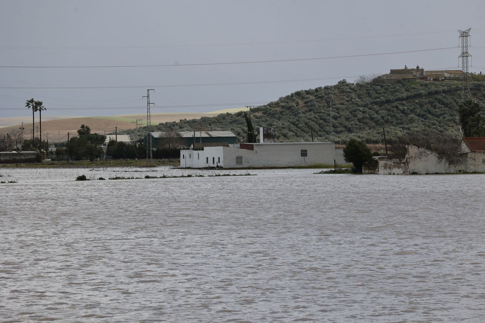 Las fotos de las inundaciones en el Palmar de Troya por la borrasca Leonardo