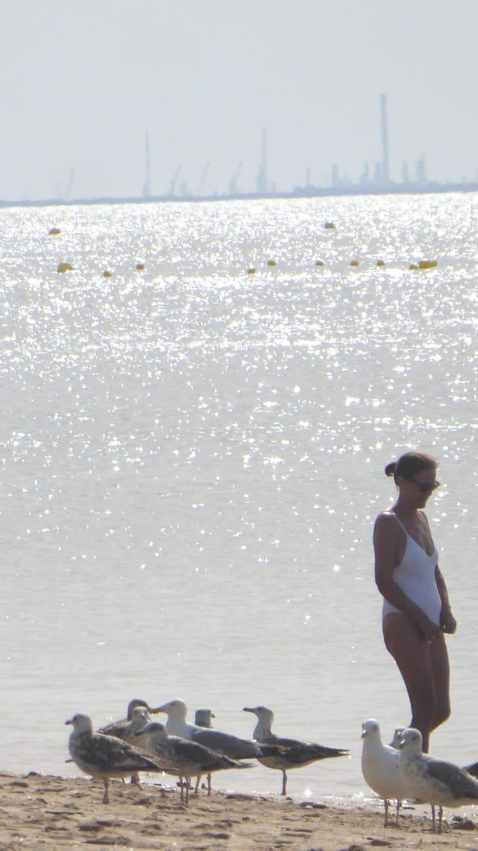 La imagen completa en la que se capta el espejismo.