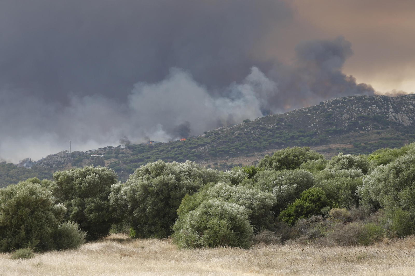 Las fotos del incendio forestal entre la Torre y Valdevaqueros en Tarifa