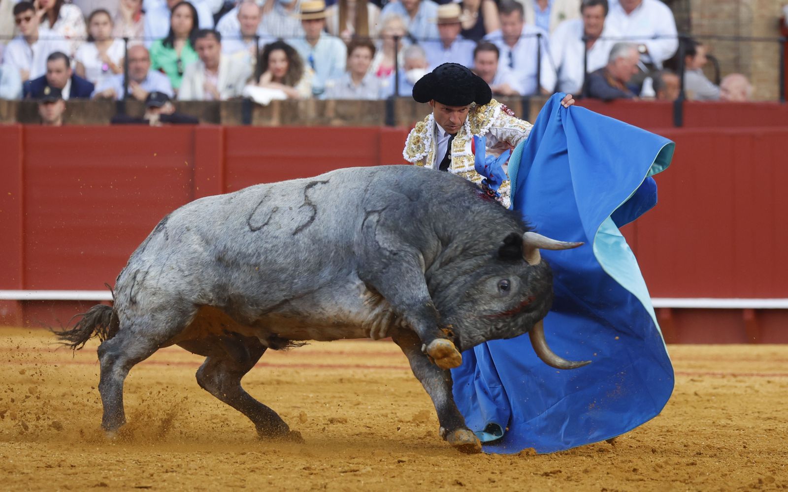 El quinto toro fue el mejor de los 'victorinos' de la sexta de abono.