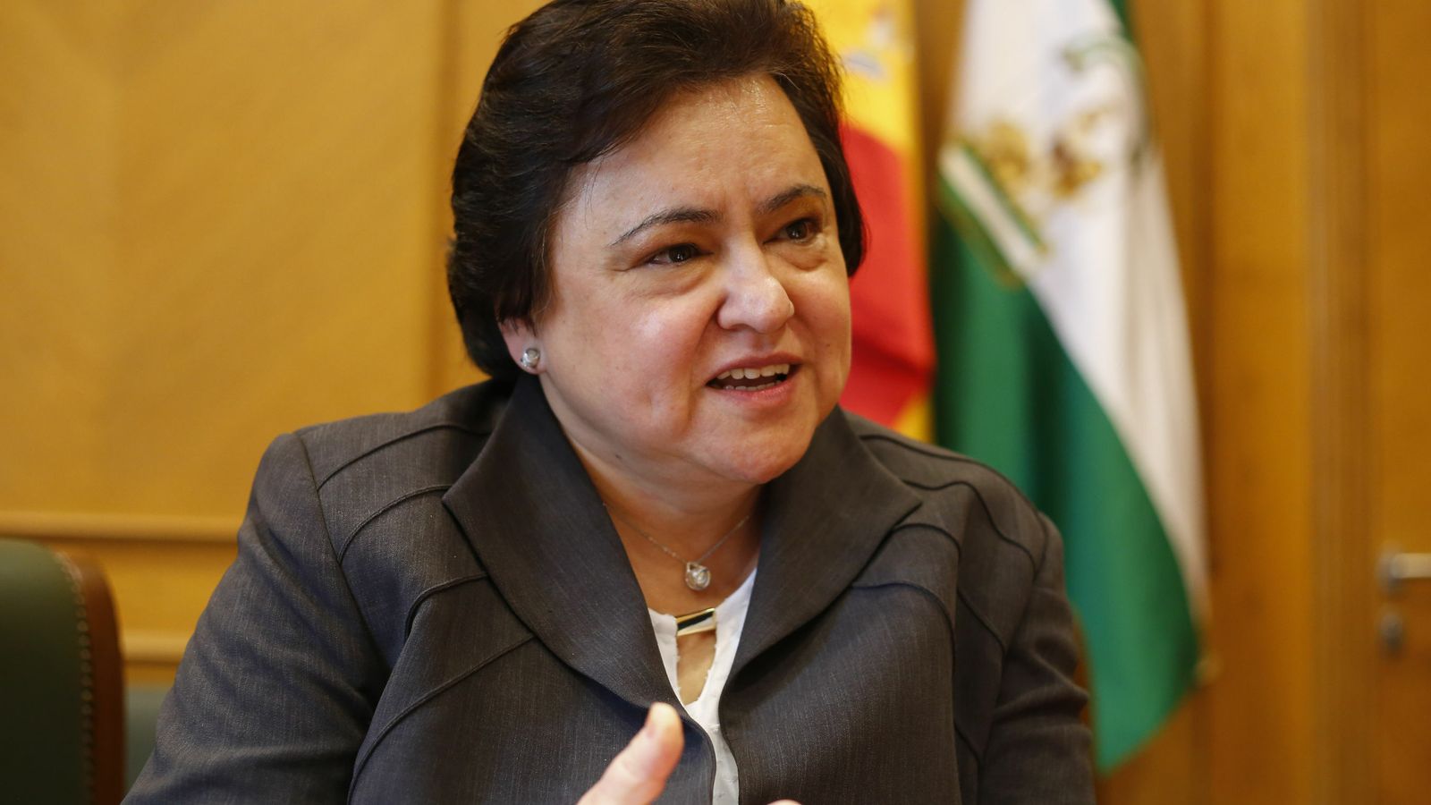 Entrevista con María Jesús Gallardo,  presidenta del Consejo Consultivo de Andalucía