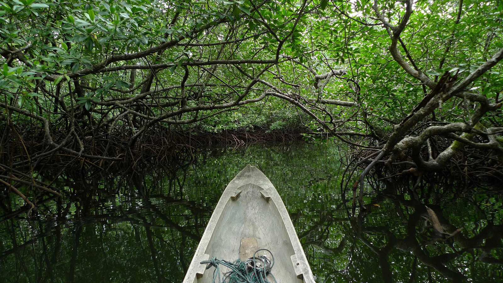 Las aventuras que ofrece Docastaway