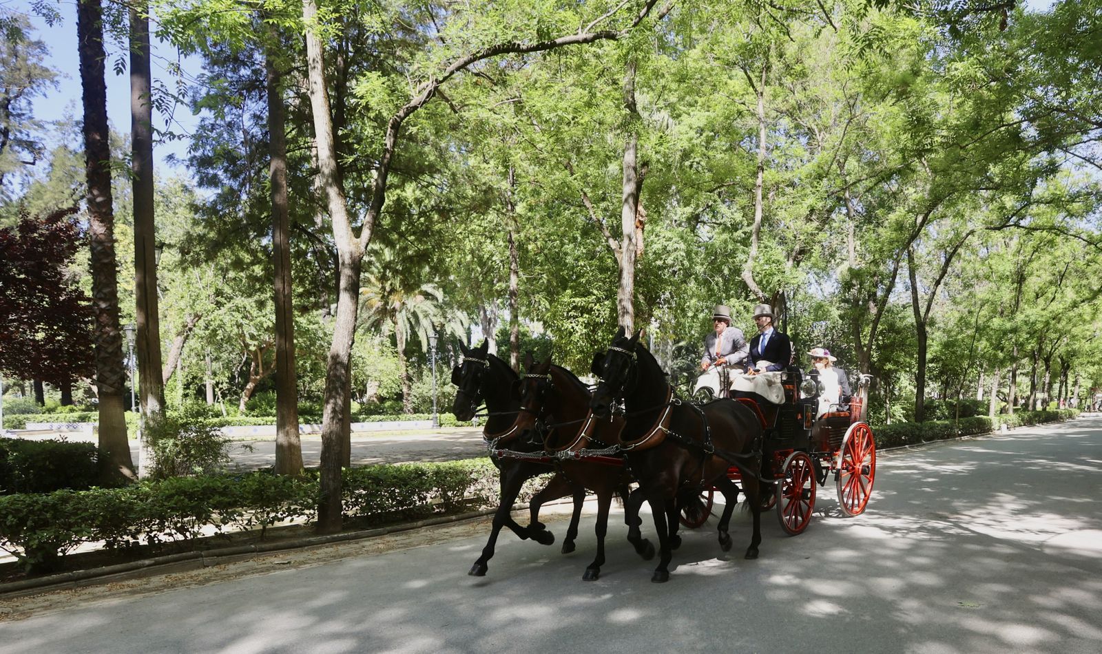 X copa CIAT   Concurso de Enganches