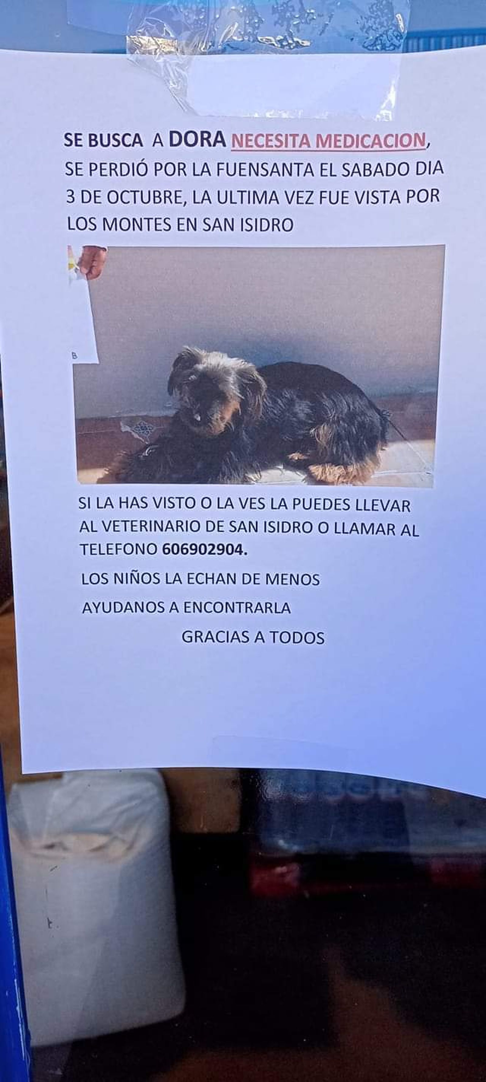 Otro de los perritos desaparecidos en Níjar.