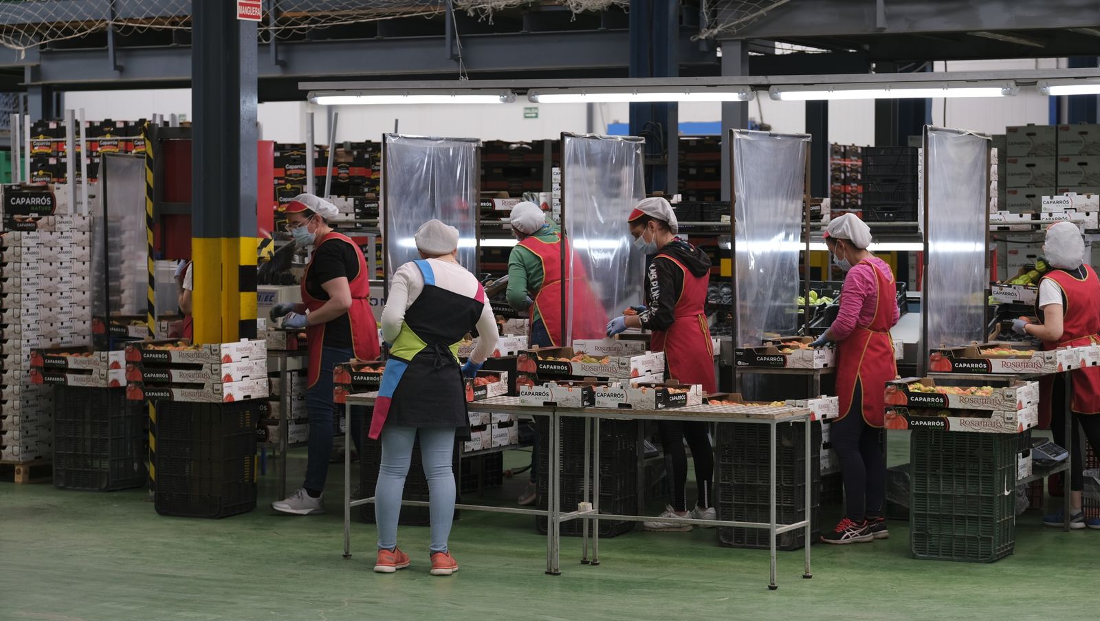 Fotogalería visita de Carmen Crespo a Grupo Caparrós. Almería