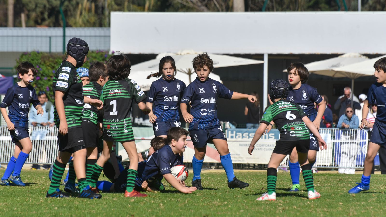 Las fotos del Festival Andaluz de rugby gradual en Pueblo Nuevo de Guadiaro