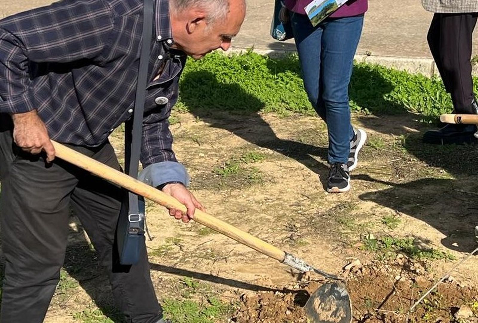 Plantación del Bosque de la Alegría en el IES Jorge Juan.