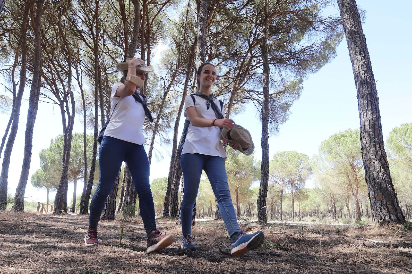 Todos los peregrinos de la Hermandad de Huelva, en imágenes