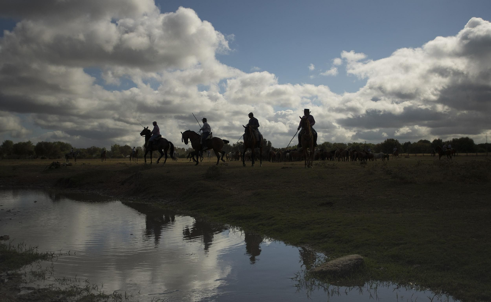 La Saca de las Yeguas, en imágenes