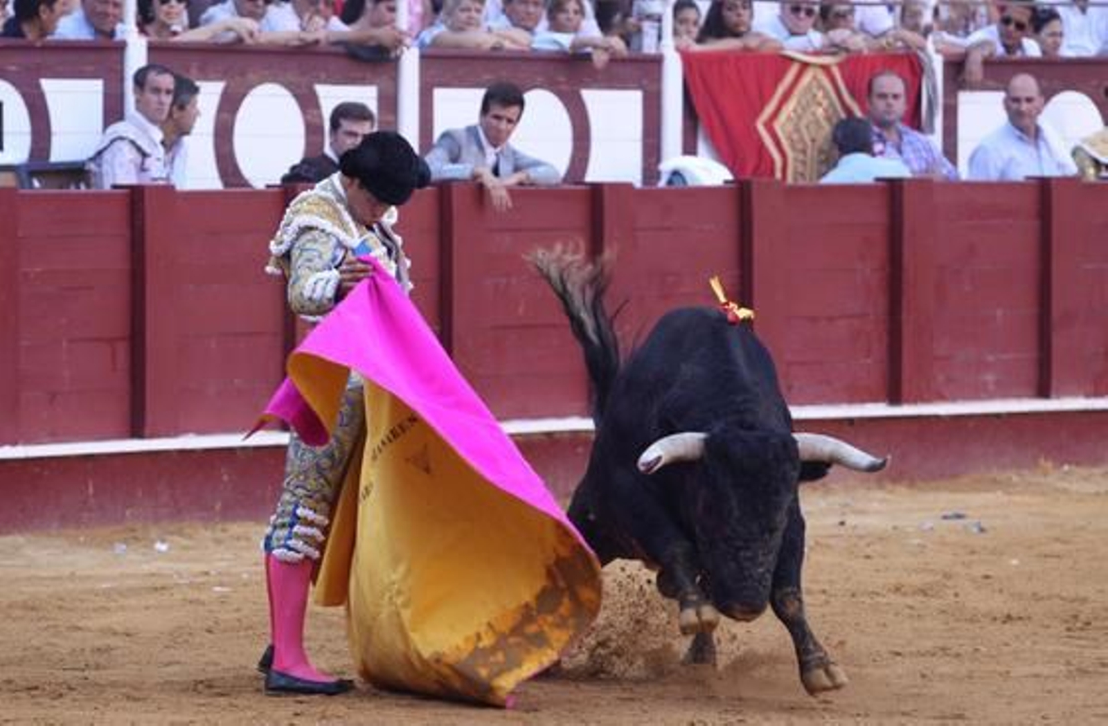 Manzanares en la Malagueta

Foto: Javier Albiñana