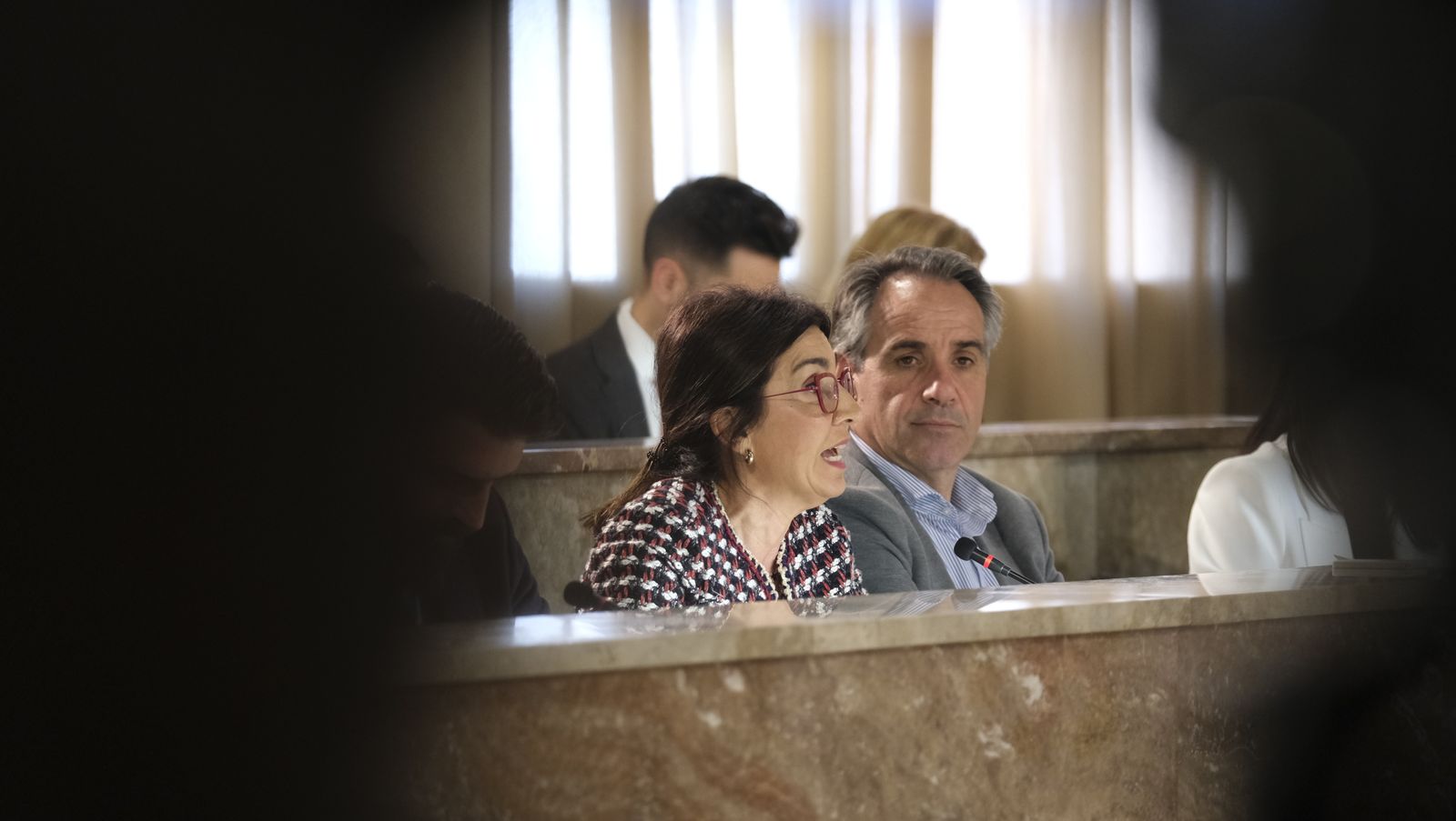 Imágenes del pleno extraordinario del Ayuntamiento de Almería