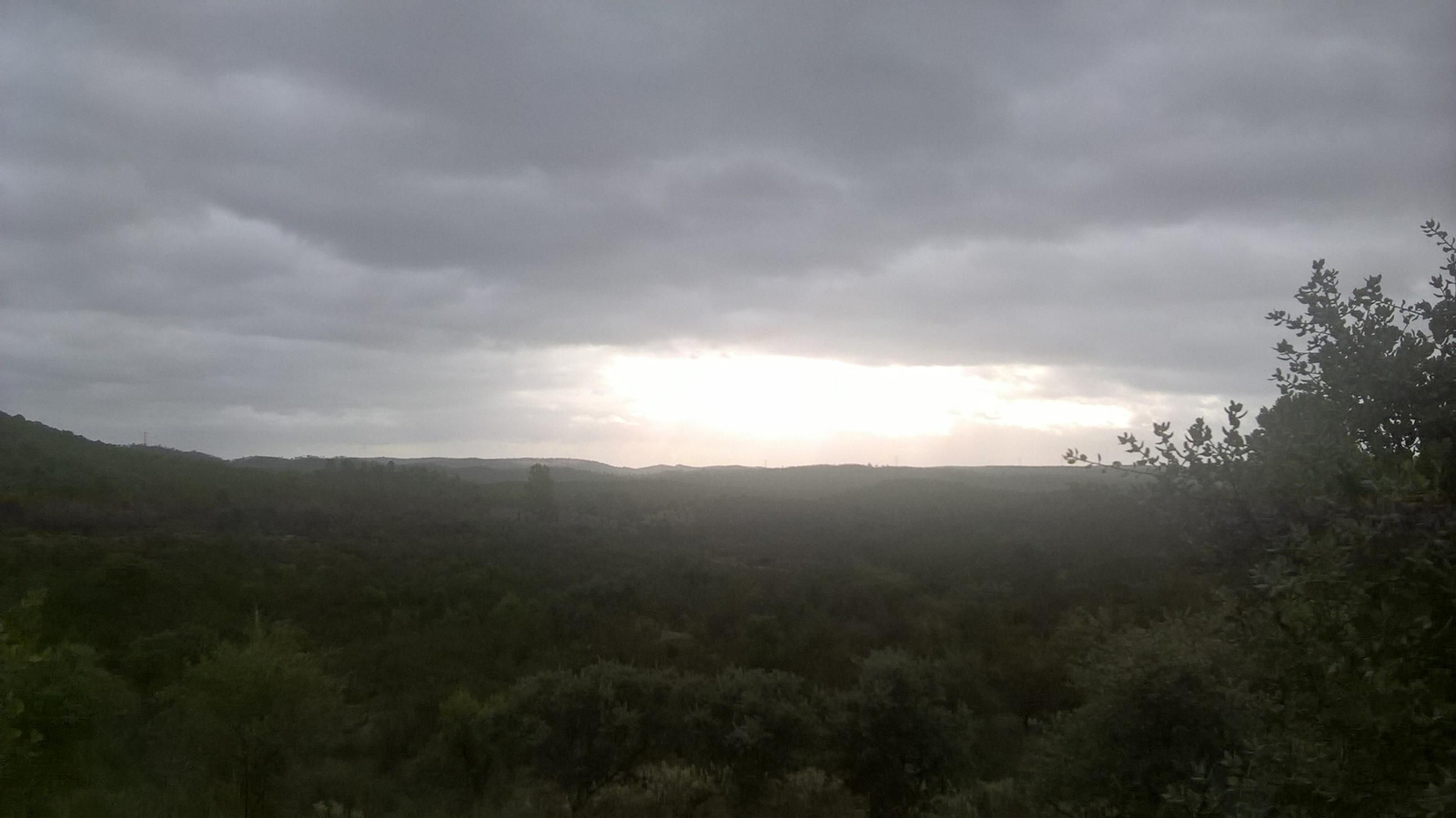 Almadén de la Plata: Ruta de la finca del Berrocal y Cerro del Calvario