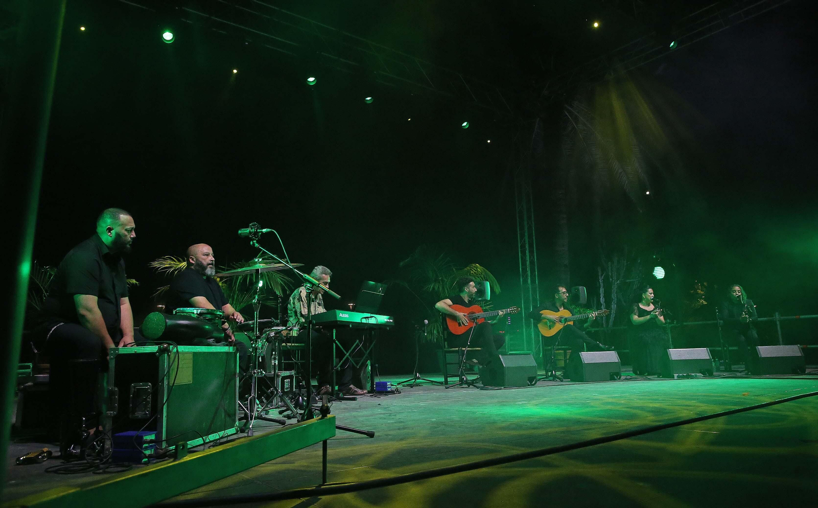 Fotos del concierto de Antonio Sánchez en el IX Encuentro Internacional de guitarra Paco de Lucía