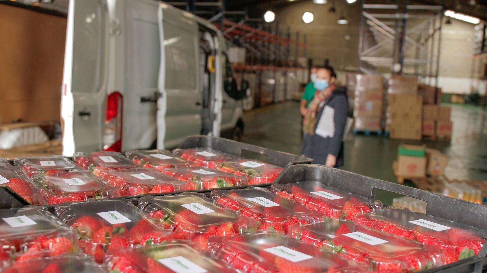 Imagen de la entrega de los frutos rojos de Planasa al Banco de Alimentos de Huelva.