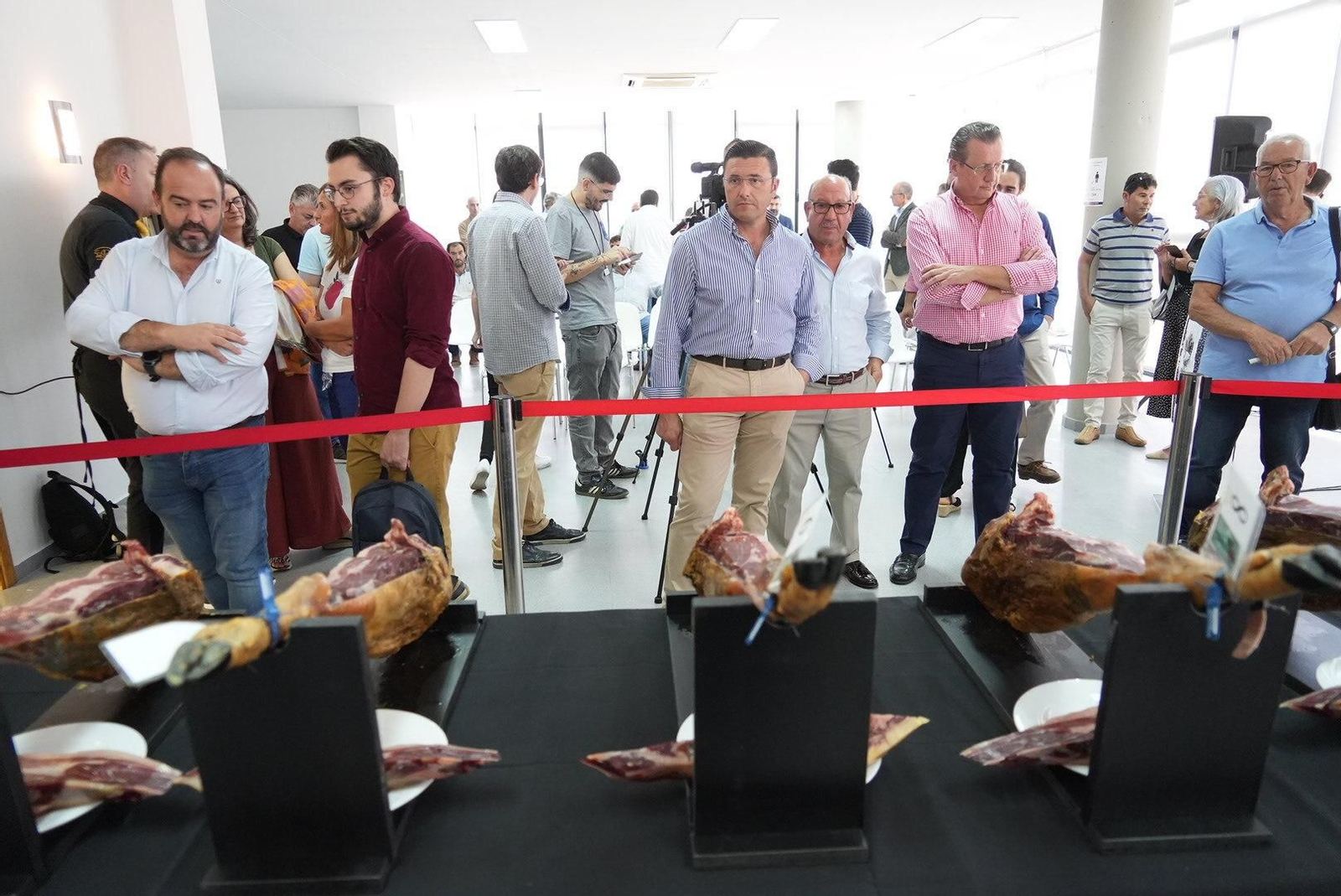 El concurso al mejor jamón de bellota 100% ibérico de Los Pedroches, en imágenes