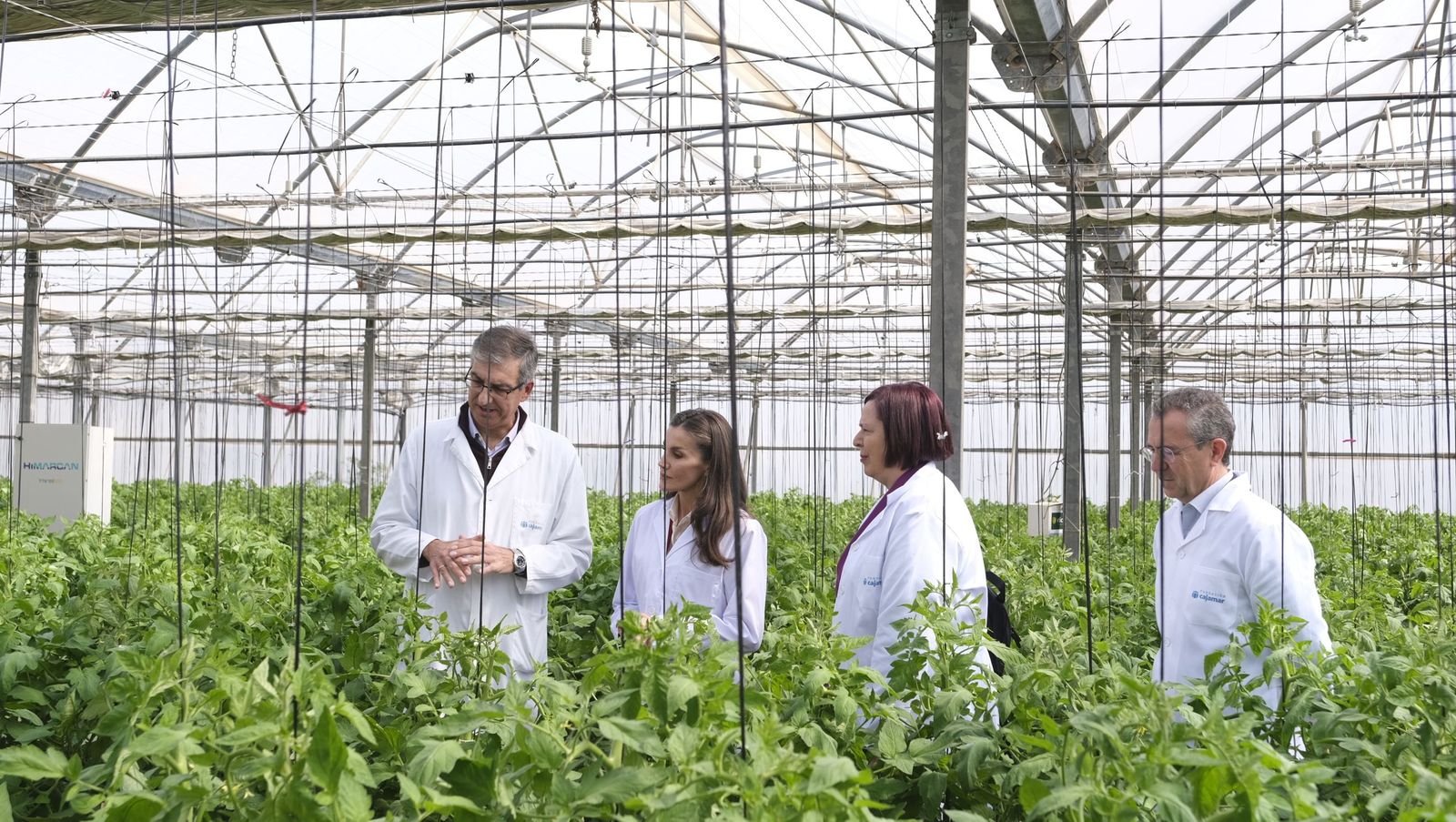 La visita de la reina Letizia a El Ejido, en imágenes