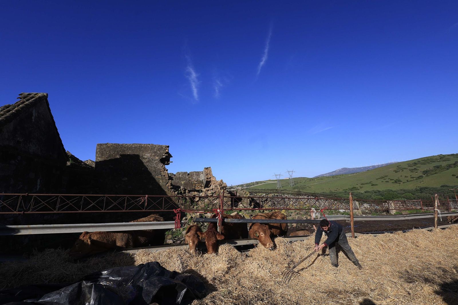 Las fotografías de la ganadería de Luis Benítez en Tarifa
