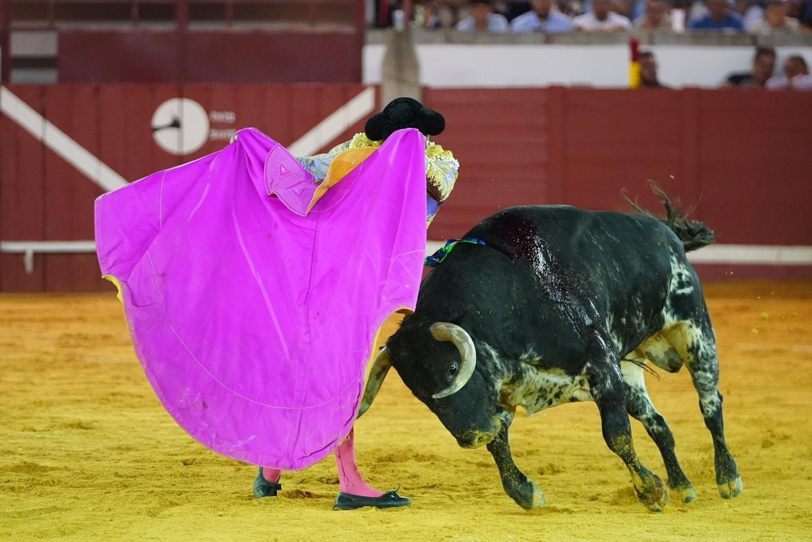 Las mejores imágenes de las corridas de toros de la Feria de Pozoblanco