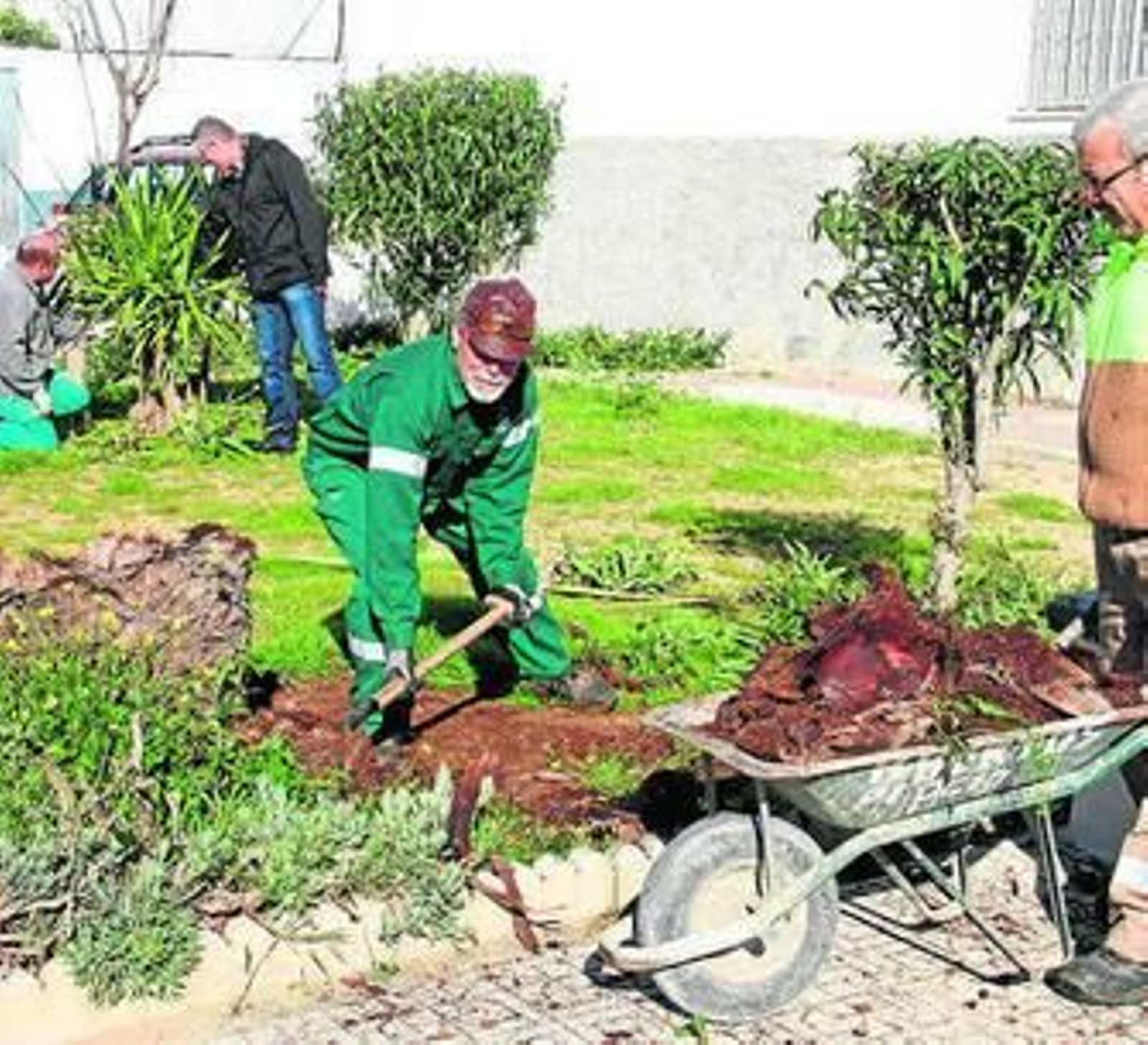 Varios operarios municipales en plena labor de mejora y limpieza.