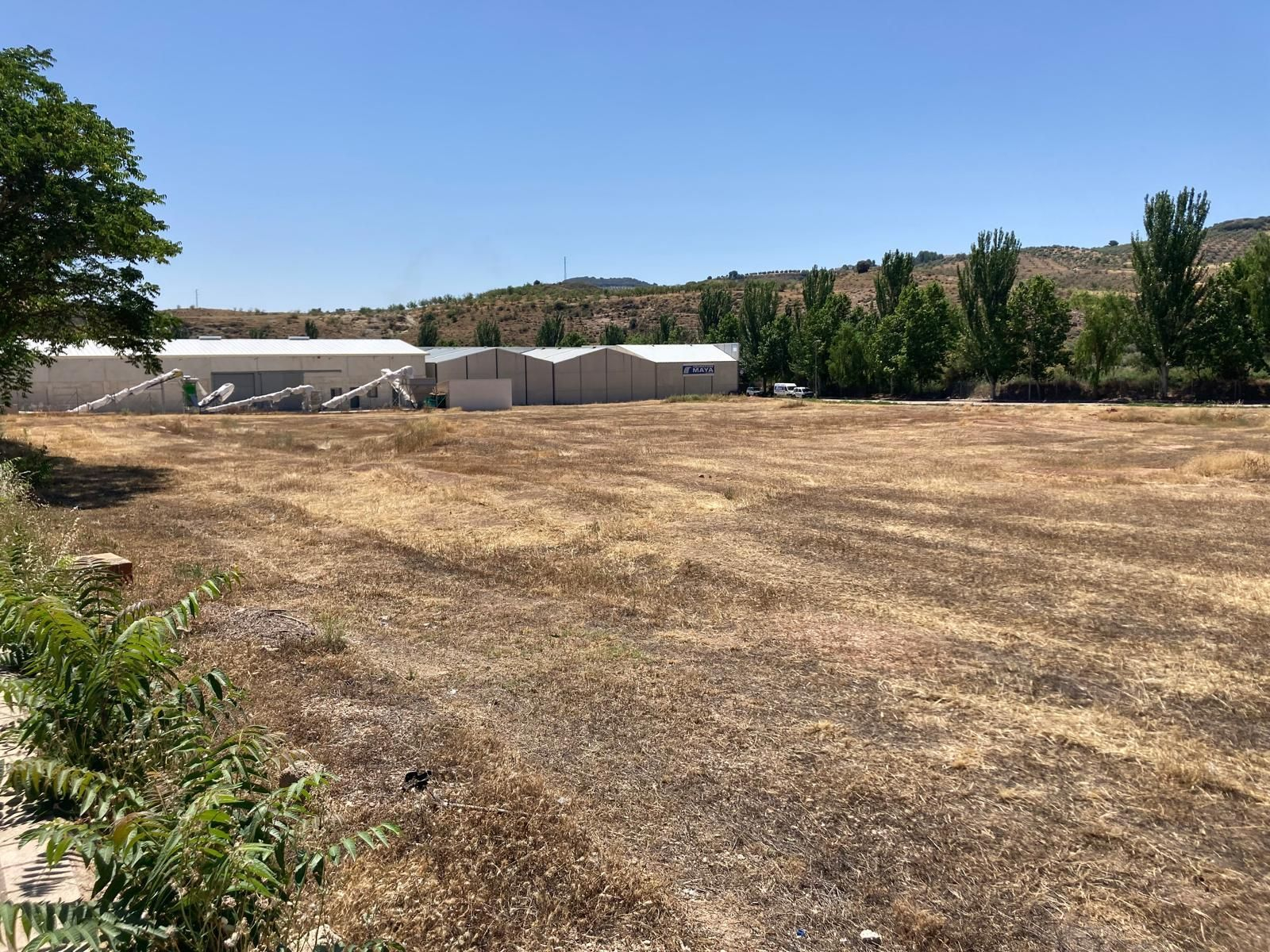 Terrenos que serán urbanizados para atender la demanda de parcelas en el Polígono Los Retiros de Huelma.