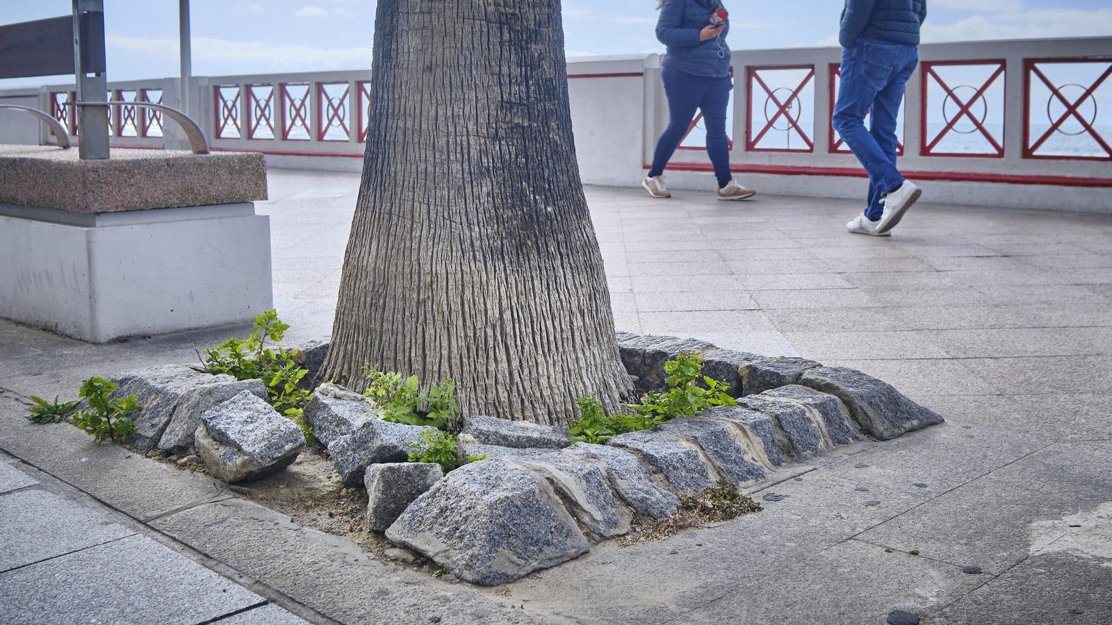 Estado del Paseo Marítimo de Cádiz.