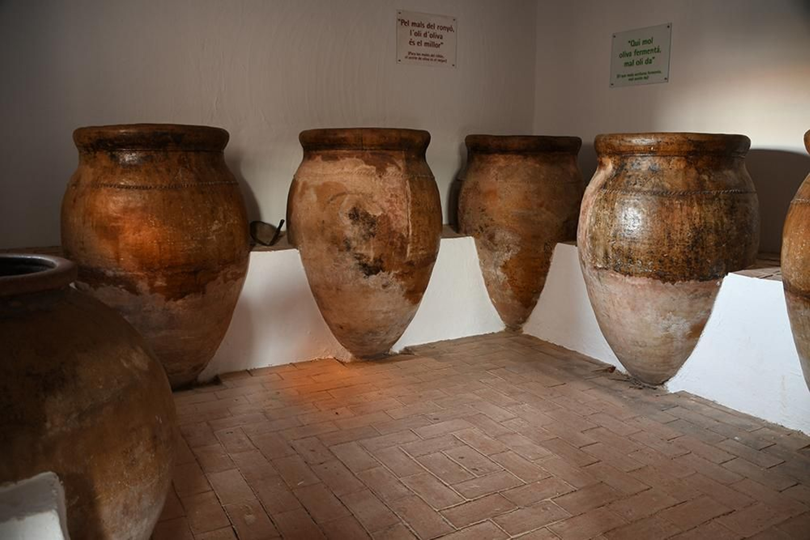 A lo largo del itinerario de la visita se muestran los pasos para la obtención del aceite.