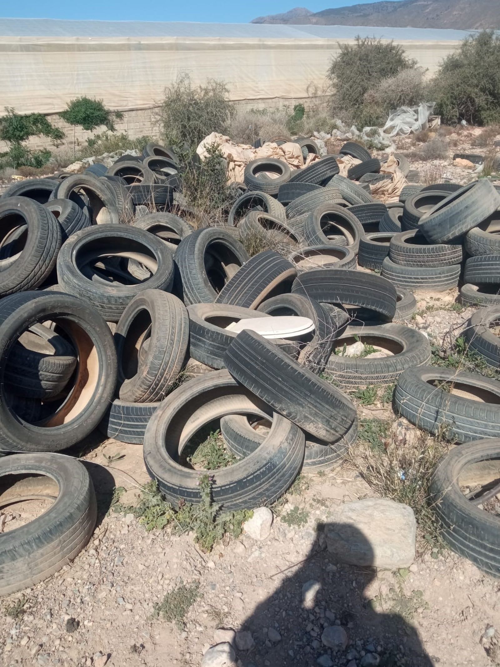 Cientos de neumáticos vertidos en un solar privado de El Ejido.