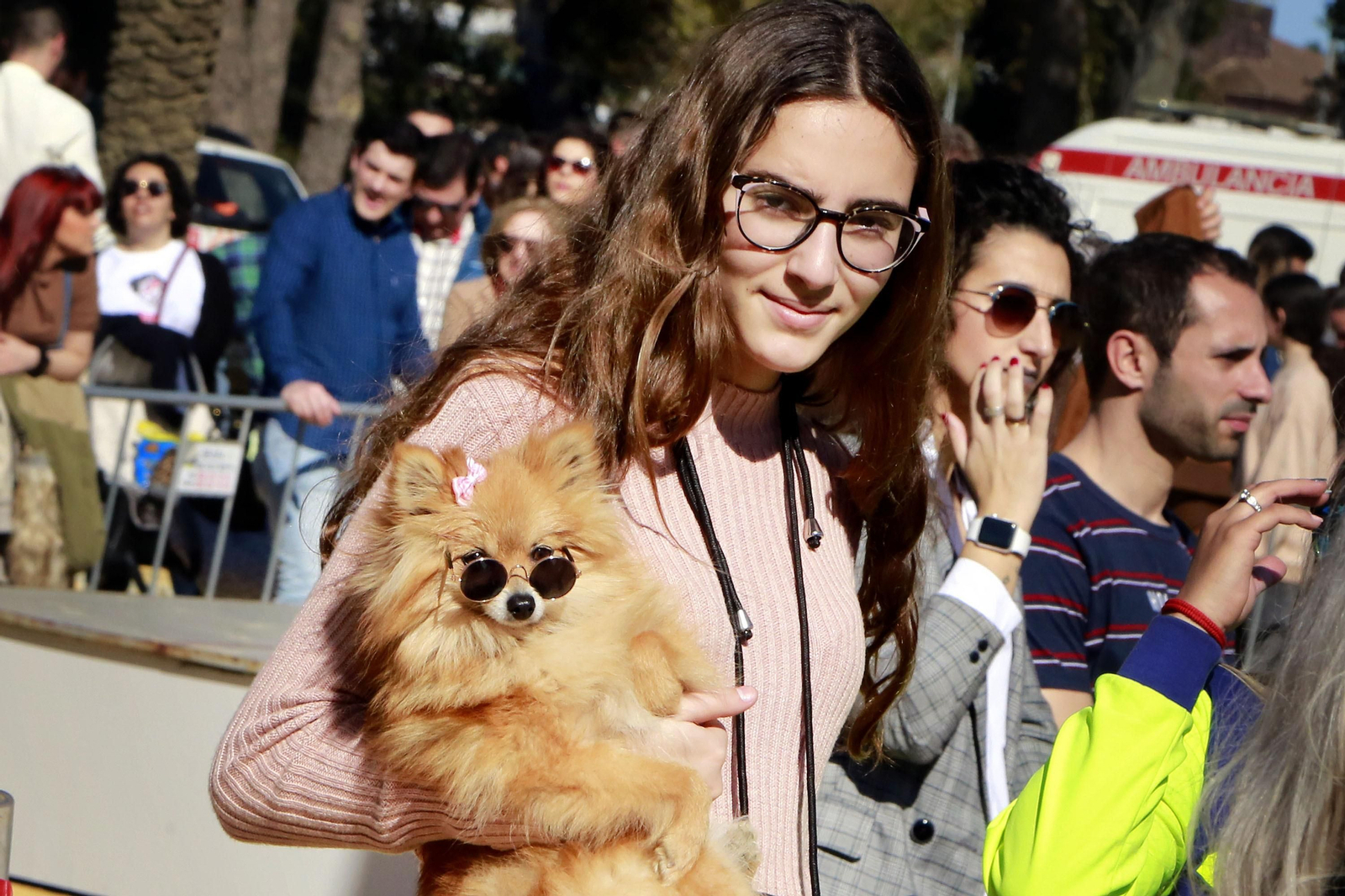 Imágenes de San Antón 2020 en Jerez