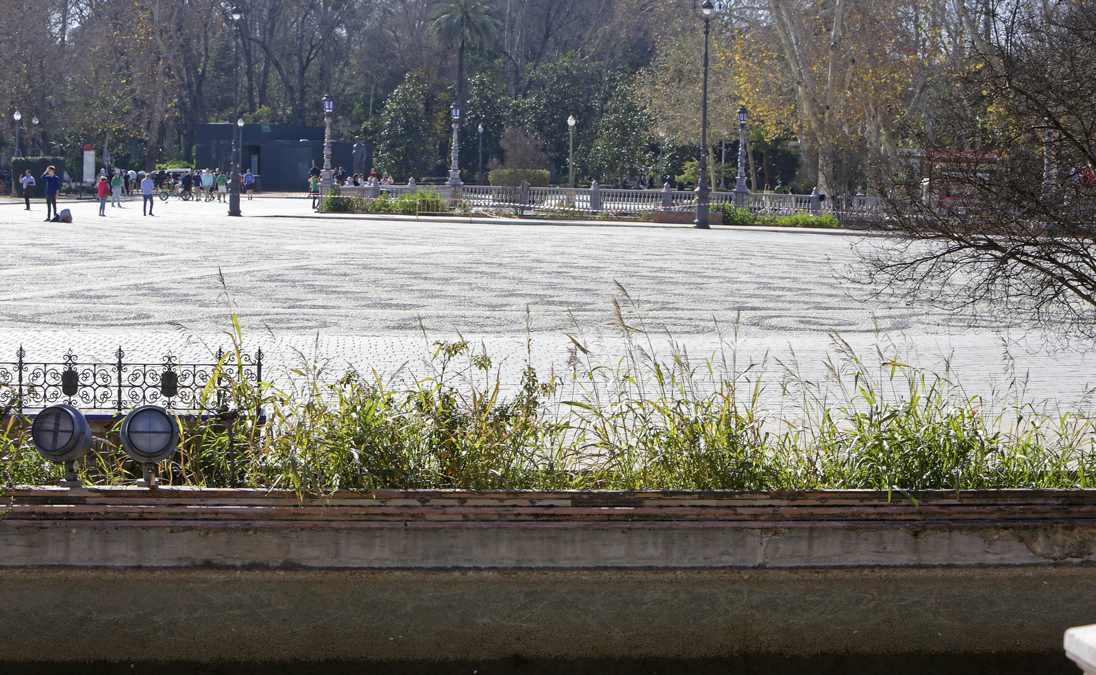 Mal estado de los arriates y plantas en la Plaza de España