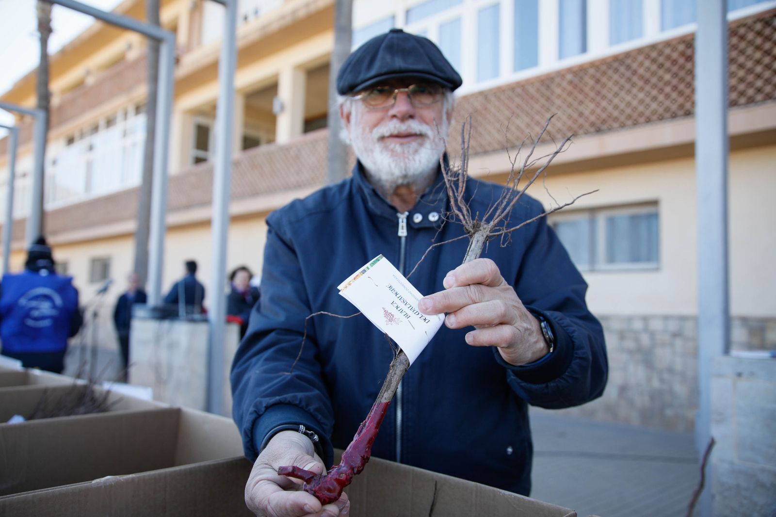 Imágenes del reparto de Parras en Alhama de Almería