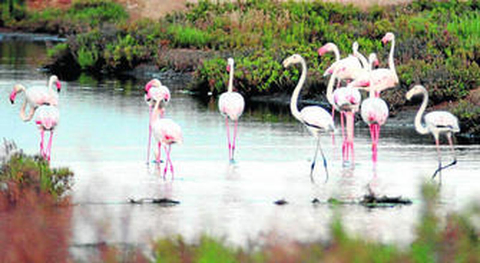 De pescadores y marismas