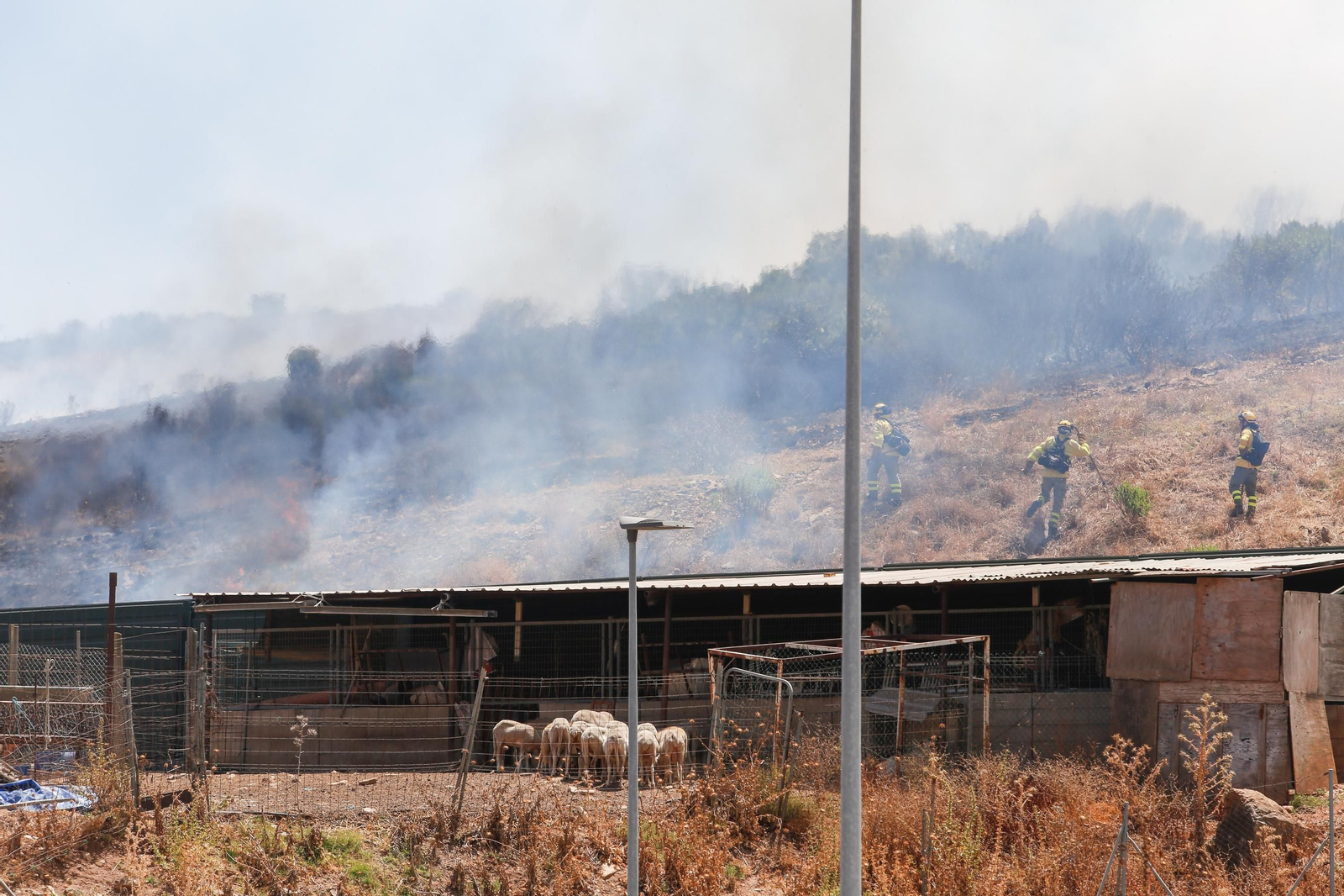 Las fotos del incendio entre Agua Marina y la Cañada de los Tomates en Algeciras
