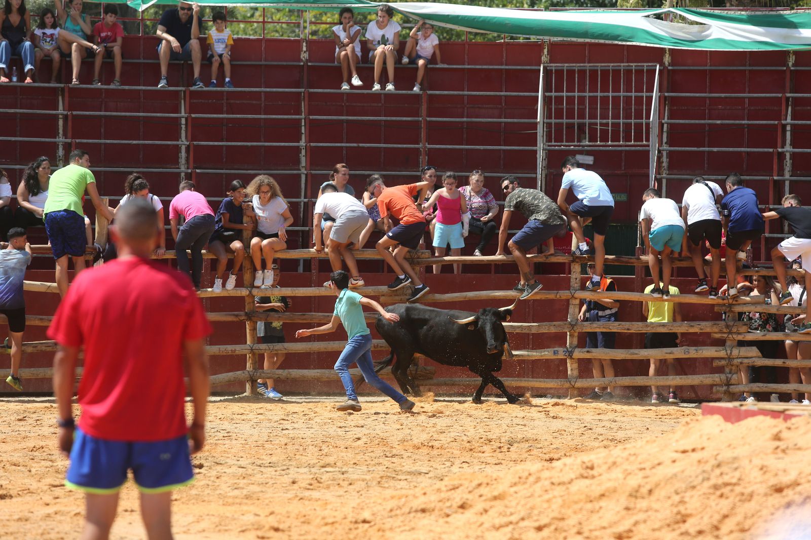 Capeas de Trigueros en imágenes
