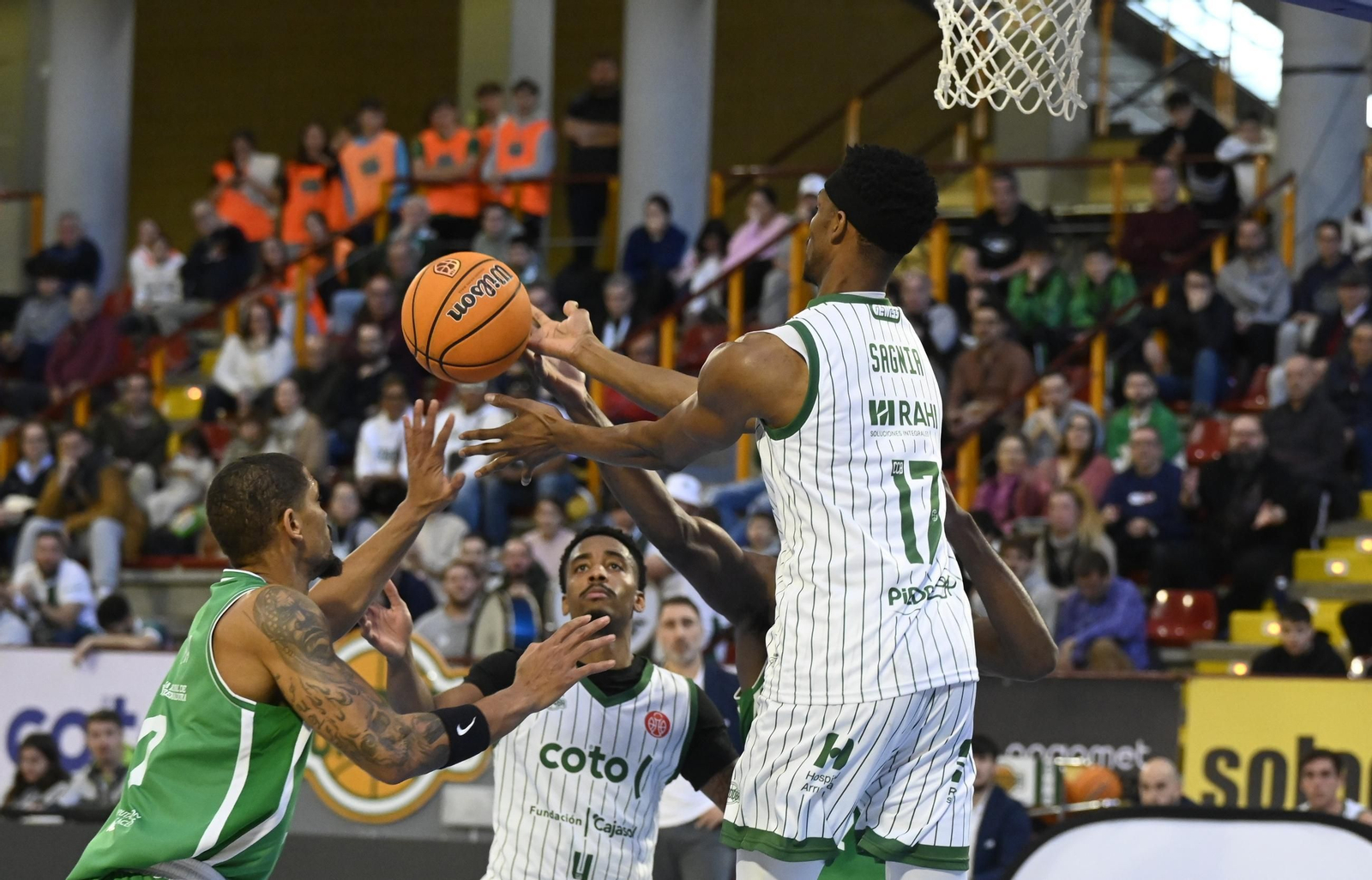 Las mejores fotos del ambiente en el Coto Córdoba - Cáceres Patrimonio de la Humanidad