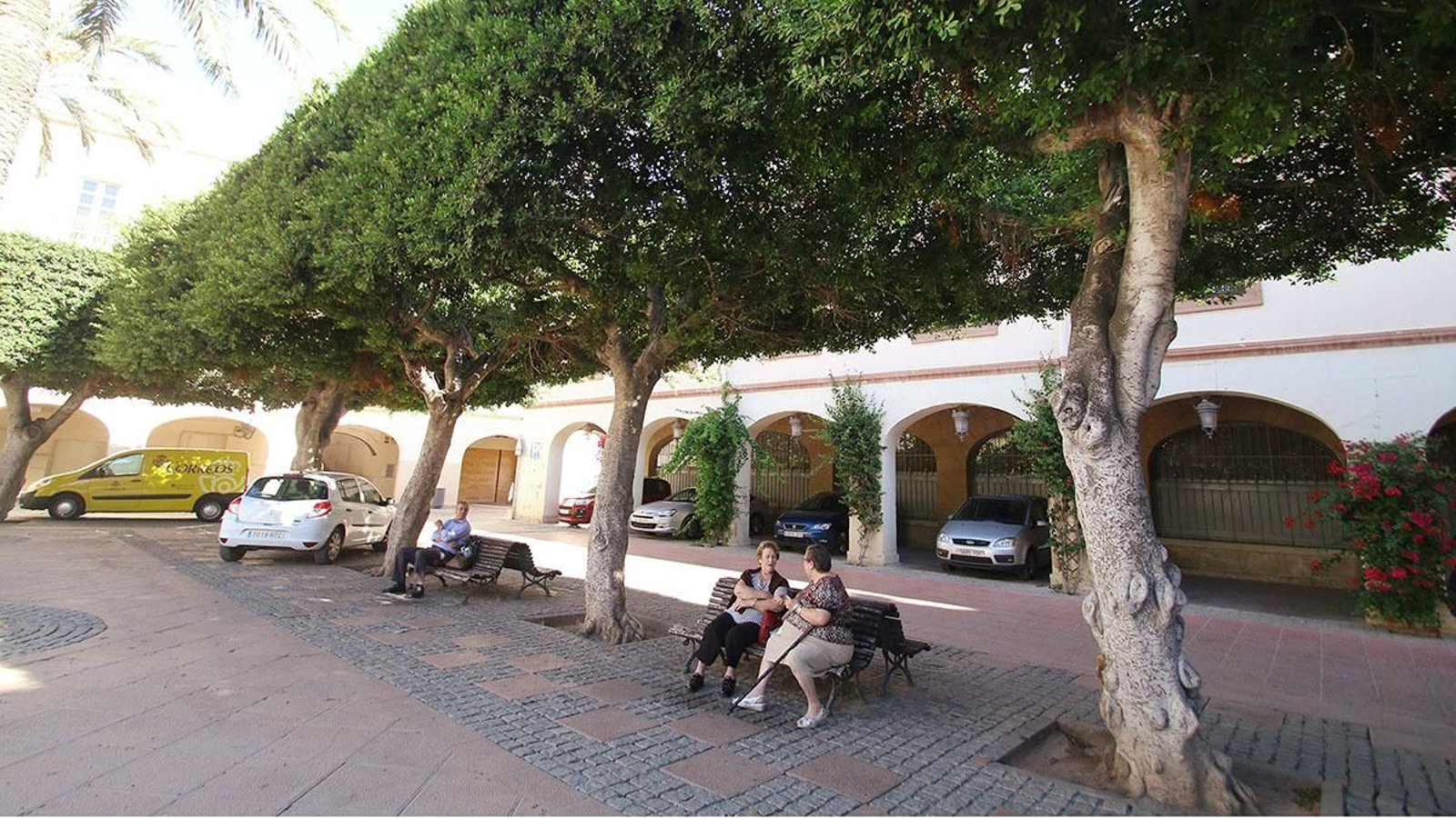 Los árboles son la mejor solución contra los efectos negativos de la isla de calor en Sevilla