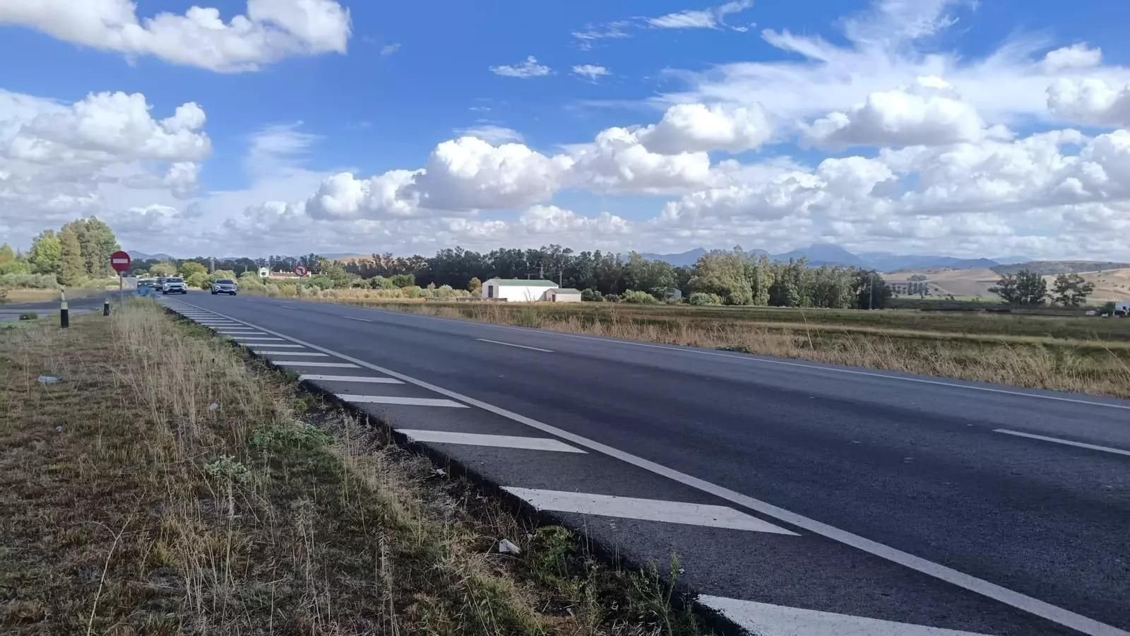La carretera A-384 en la Sierra de Cádiz, a la altura de Bornos.