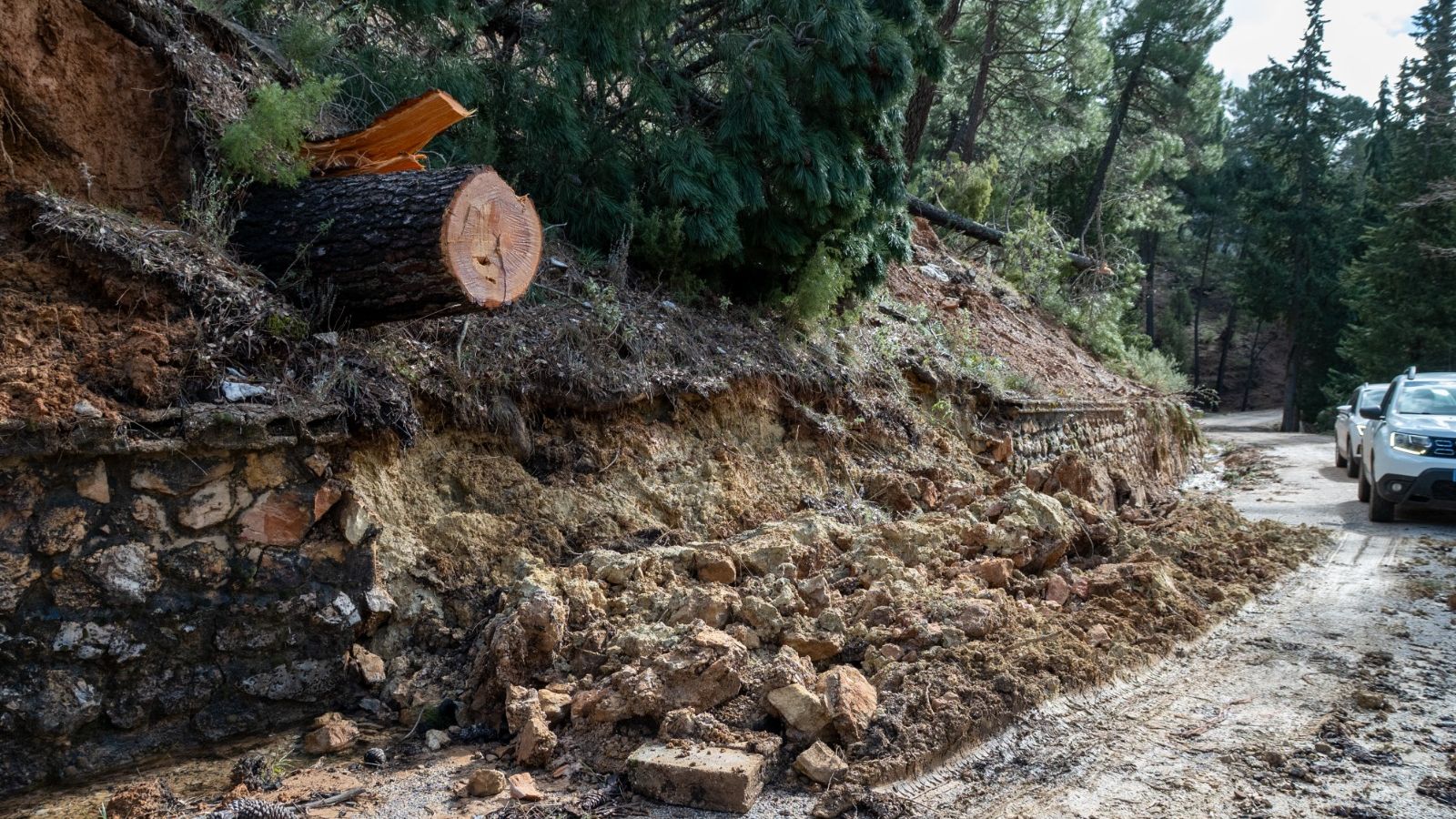 Estado actual de la vía.