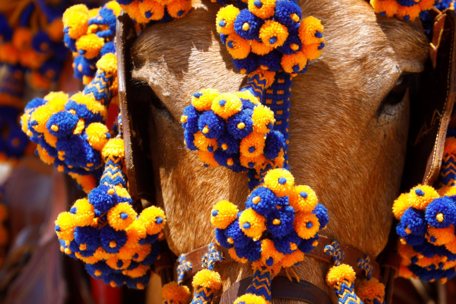 Las mejores imágenes del primer sábado en la Feria de Córdoba