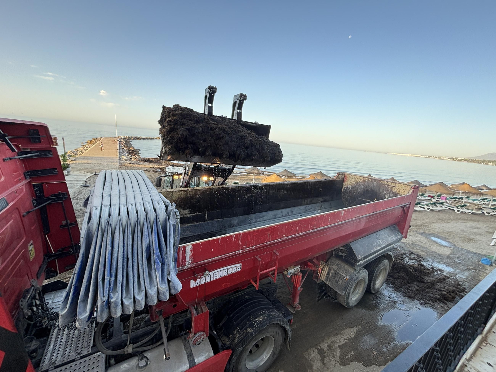 Un camión retirando restos de algas.