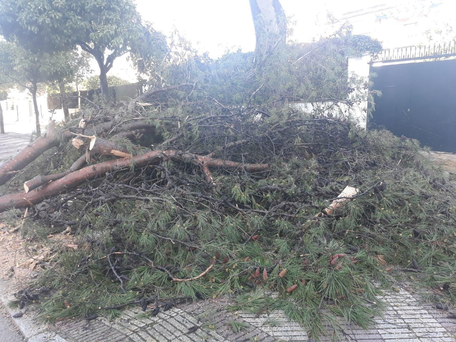 Las imágenes del paso del tornado en Jerez